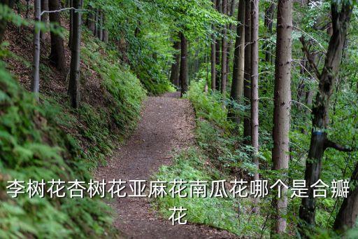 李树花杏树花亚麻花南瓜花哪个是合瓣花