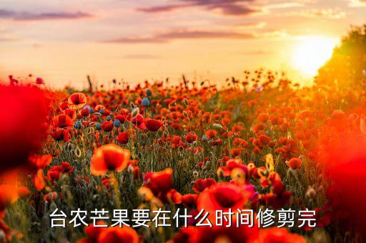 台农芒果，芒果为什么又叫台农
