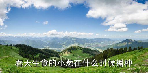 春天生食的小葱在什么时候播种