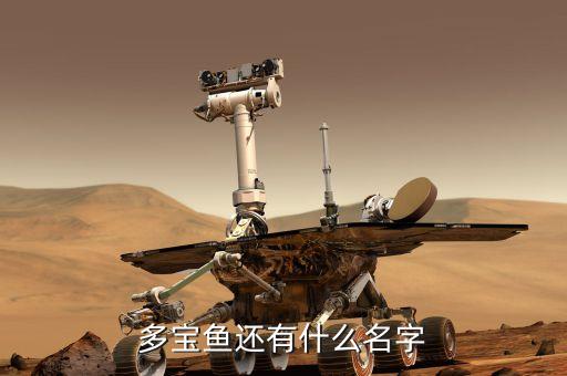 多宝鱼图片，多宝鱼还有什么名字