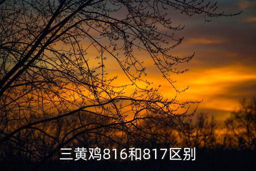 三黄鸡816和817区别