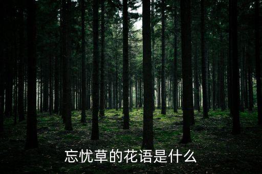 忘忧草的花语是什么