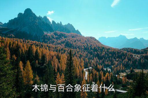 木锦与百合象征着什么
