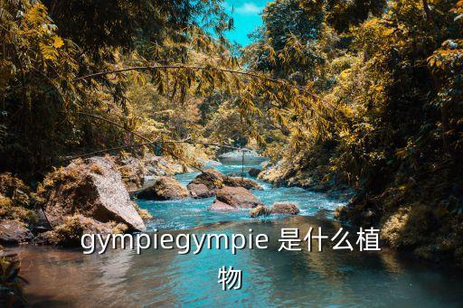 gympiegympie 是什么植物