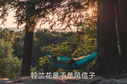 铃兰花是不是风信子