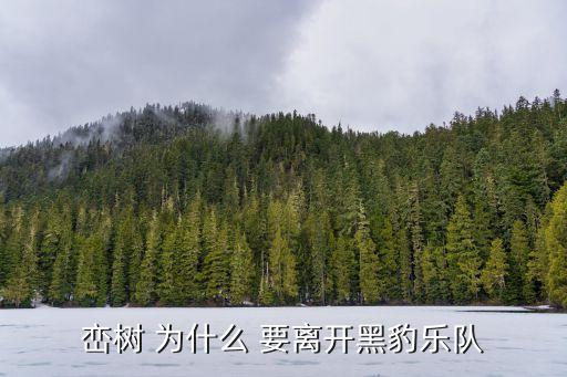 峦树，峦树和栾树是同一个吗