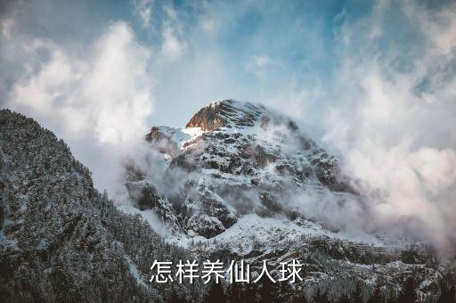 怎样养仙人球