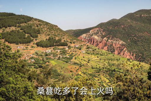 桑椹上火吗，桑树上接的桑椹吃了上火还是败火