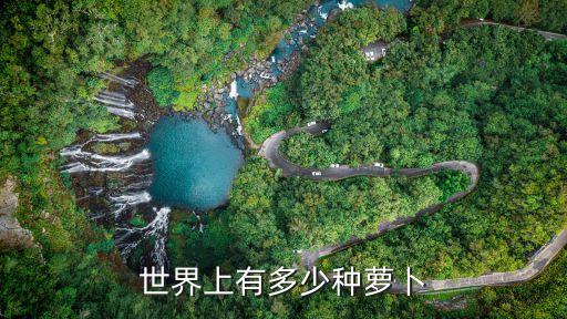 世界上有多少种萝卜