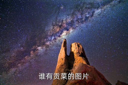 谁有贡菜的图片