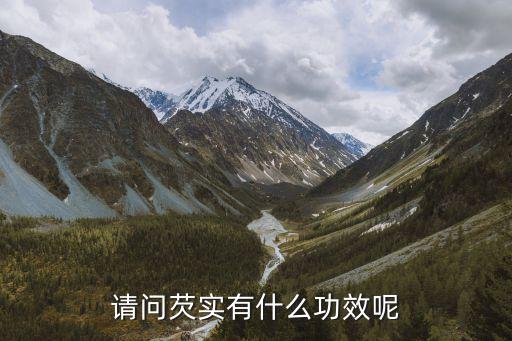 请问芡实有什么功效呢
