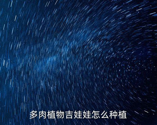 多肉植物吉娃娃怎么种植