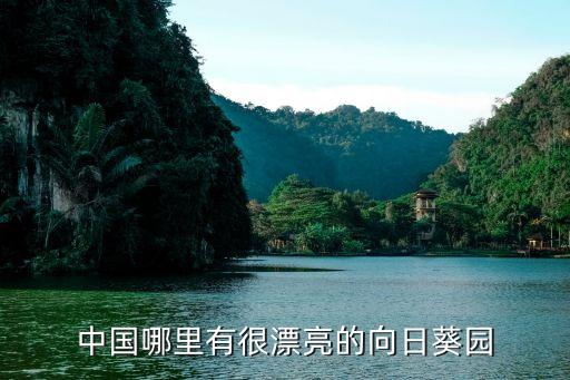 葵花园，葵花园在哪里