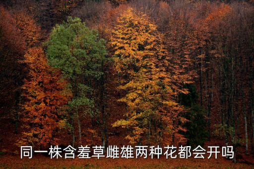 同一株含羞草雌雄两种花都会开吗