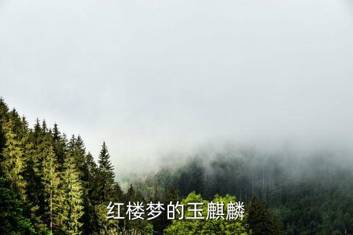 红楼梦的玉麒麟