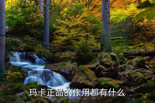 玛卡的功效，玛卡的主要药用价值是什么