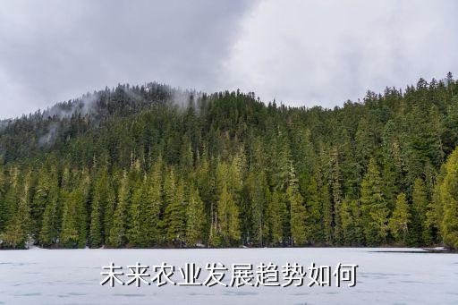 未来农业发展趋势如何