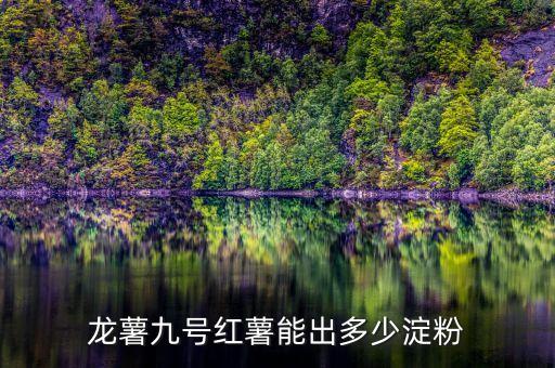 龙九红薯品种介绍，龙薯9号含淀粉是百分之9 12吗