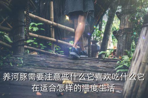 河豚怎么养，宠物河豚怎么养才好