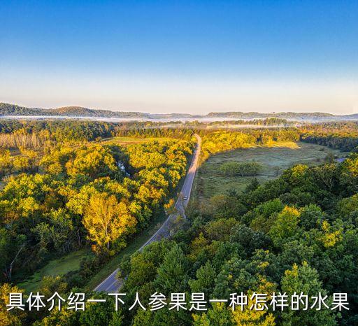 人参果有几种，人参果长什么样子