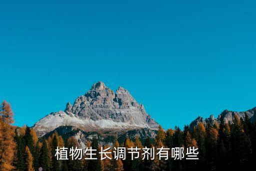 调节剂，什么是生物反应调节剂