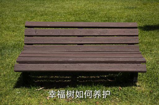 幸福树如何养护