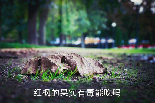 红枫的果实有毒能吃吗