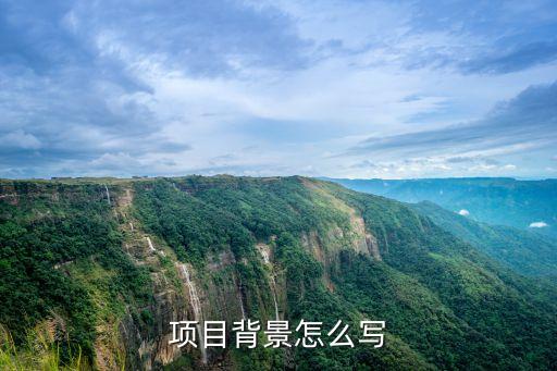 项目背景怎么写