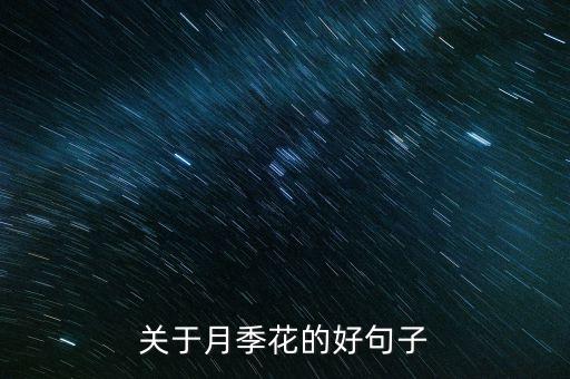 描写月季花的句子，描写月季的句子