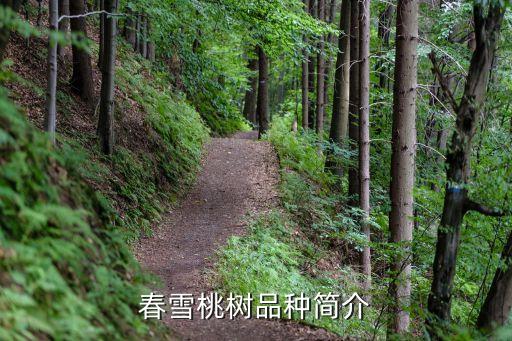 桃花图片大全，桃花的资料
