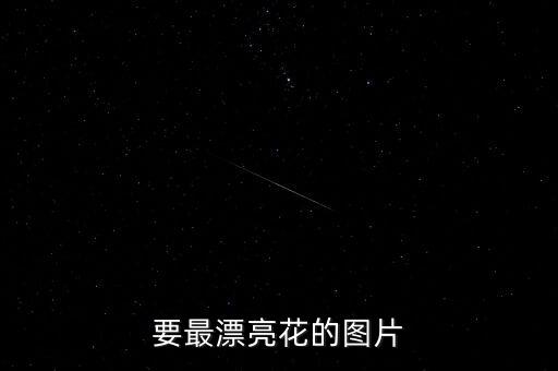 要最漂亮花的图片