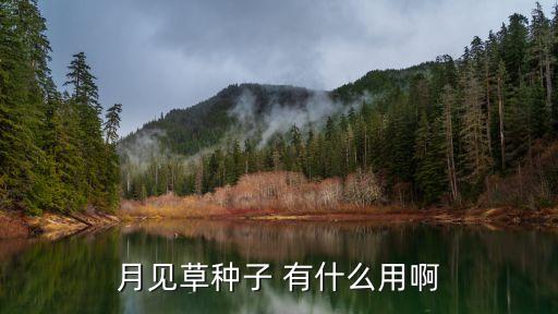 月见草种子， 小花仙追云逐月套装怎么得 月见草种子