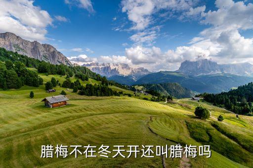 腊梅不在冬天开还叫腊梅吗