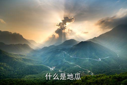 什么是地瓜