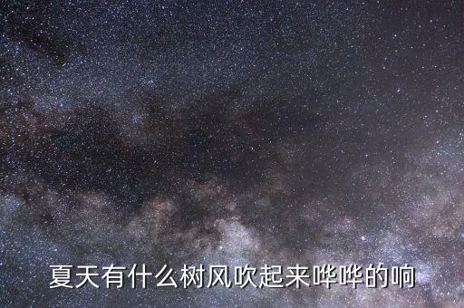 夏天有什么树风吹起来哗哗的响