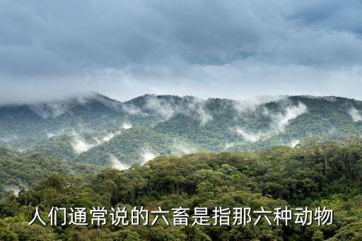 六畜指的是哪六畜，六畜是哪六畜
