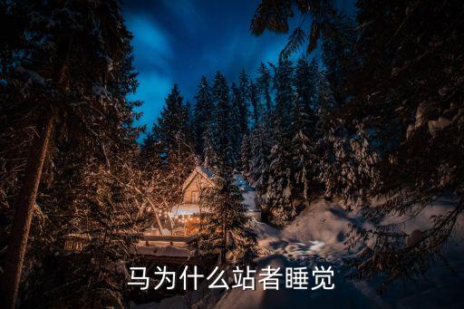 马为什么站者睡觉