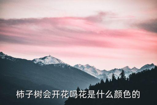 柿子树会开花吗花是什么颜色的