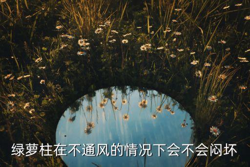 绿萝柱在不通风的情况下会不会闷坏