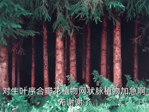 对生叶序合瓣花植物网状脉植物加急啊先谢谢了