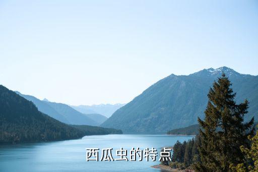 西瓜虫，西瓜虫的原名