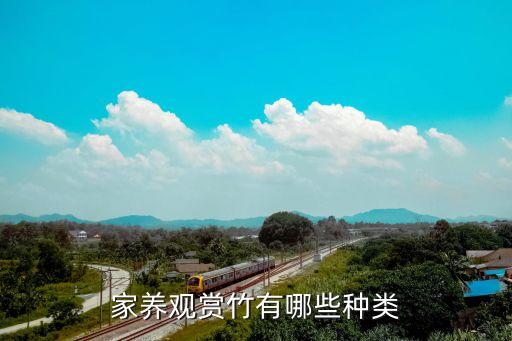 家养观赏竹有哪些种类