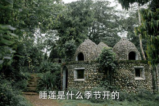 睡莲是什么季节开的