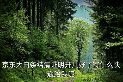 京东大白条结清证明开具好了寄什么快递给我呢