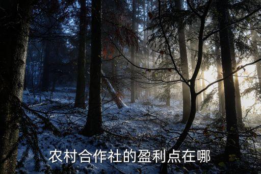 农村合作社的盈利点在哪