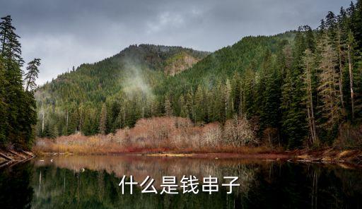 什么是钱串子