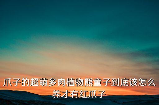 爪子的超萌多肉植物熊童子到底该怎么养才有红爪子