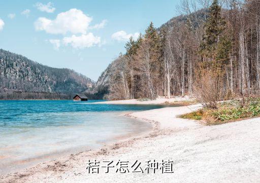 橘子怎么种，如何种桔子