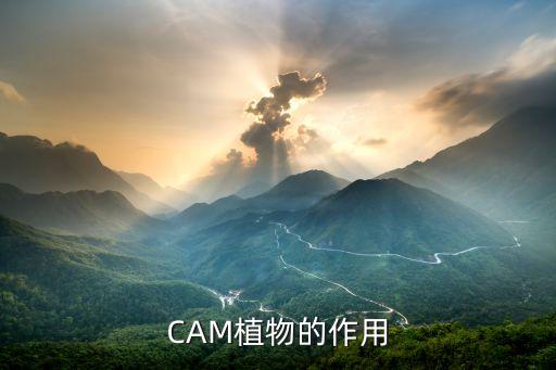 cam植物，请问有没有能在水中生活的CAM植物