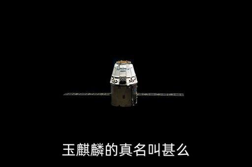 玉麒麟的真名叫甚么